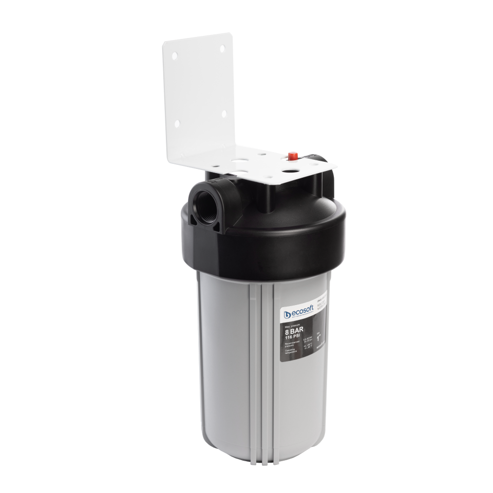 Big Blue 4.5"x10" in-line water filter