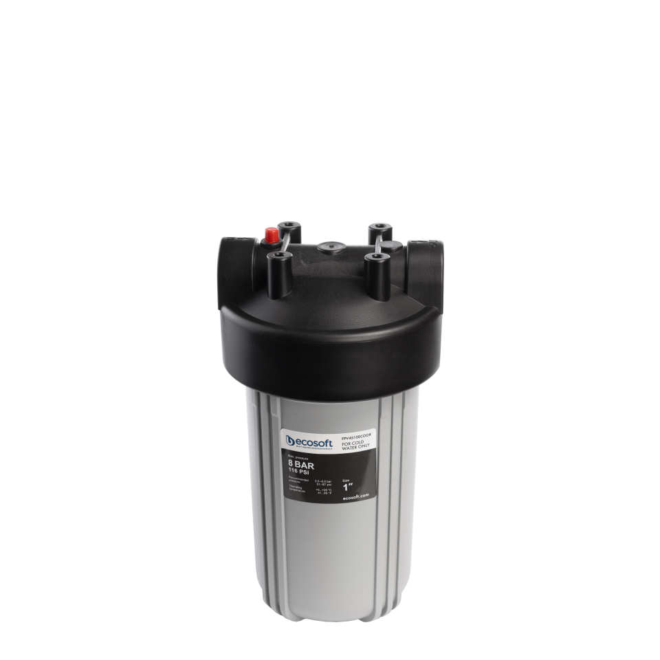 Big Blue 4.5"x10" in-line water filter